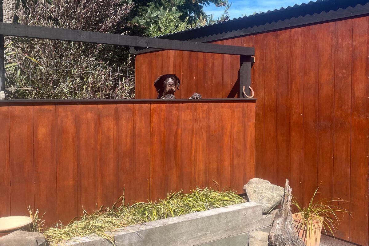 budpac_canterbury_mdf_panels_exterior_1 budpac_canterbury_mdf_panels_exterior_1